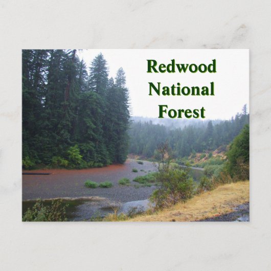 Redwood National Forest Briefkaart (Voorkant)