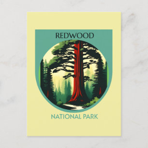 Redwood National Park Beauty in Californië Briefkaart