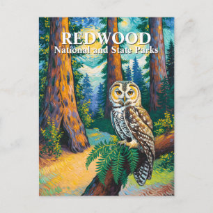 Redwood National Park Bos Uil Van Gogh Stijl Briefkaart
