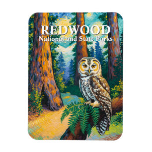 Redwood National Park Bos Uil Van Gogh Stijl Magneet