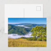 Redwood National Park Briefkaart (Voorkant / Achterkant)