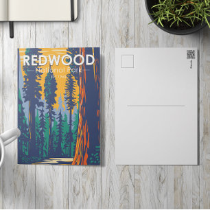 Redwood National Park California Briefkaart