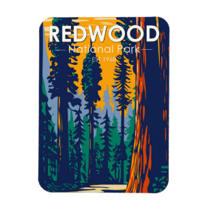 Redwood National Park California  Magneet