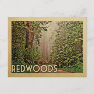Redwood National Park California Vintage Travel Briefkaart