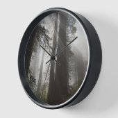 Redwood National Park Californië (Hoek)