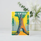 Redwood National Park Californië  bos Briefkaart (Staand voorkant)