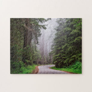 Redwood National Park Californië Foto Legpuzzel