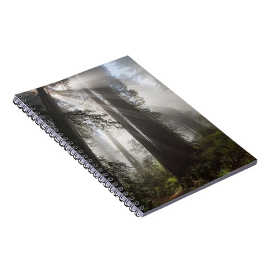 Redwood National Park Californië Notitieboek (Rechterzijde)