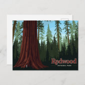 Redwood National Park Giant Tree Art Briefkaart (Voorkant / Achterkant)