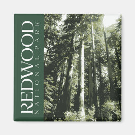Redwood National Park Magnet Magneet