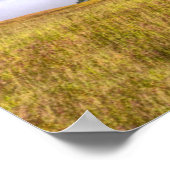 Redwood National Park Poster (Hoek)