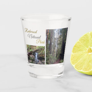 Redwood National Park Shot Glass Glas