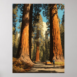 Redwood National Park stijl reizen Poster