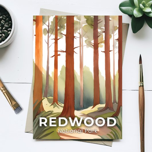 Redwood National Park | Waterverf Briefkaart