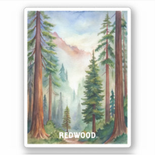 Redwood National Park Waterverf Schilderen Sticker