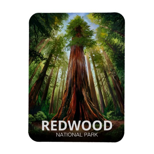 Redwood National State Park, Kust van Californië Magneet (Verticaal)