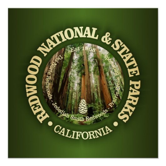 Redwood National & State Parks (NP2) Perfect Poster (Voorkant)