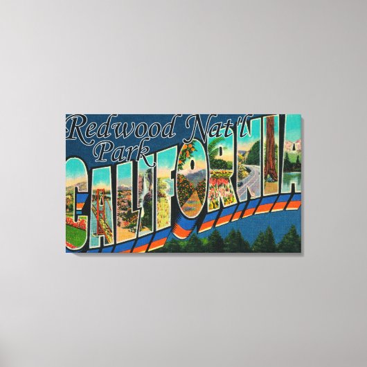 Redwood Nat'l Park Canvas Afdruk (Voorkant)
