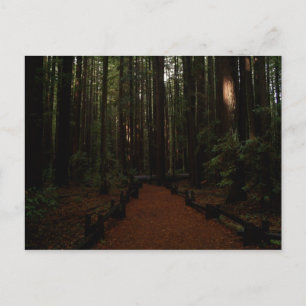 Redwood Paradise Briefkaart