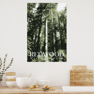 Redwood Poster, National Park Afdrukken Poster