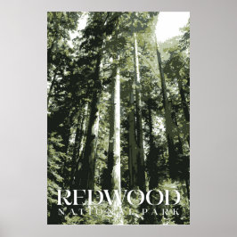 Redwood Poster, National Park Afdrukken Poster