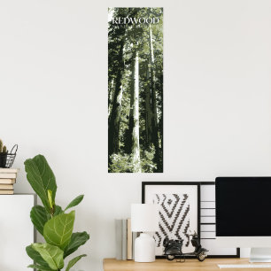 Redwood Print, Poster du parc national, 12x36"