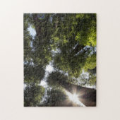 Redwood State Park Legpuzzel (Verticaal)