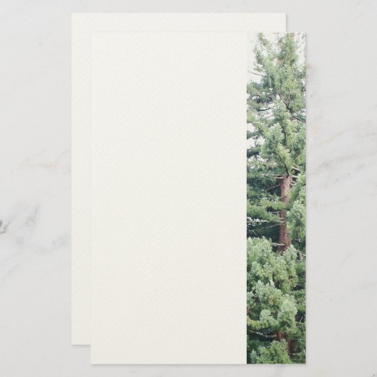 Redwood Tree Stationery Briefpapier (Voorkant / Achterkant)