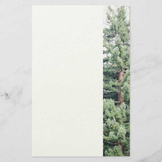 Redwood Tree Stationery Briefpapier (Voorkant)