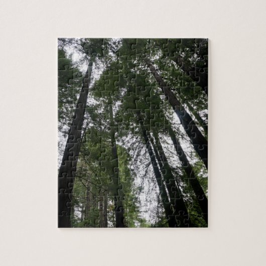 Redwood Trees #3 Jigsaw Puzzle (Vertical)