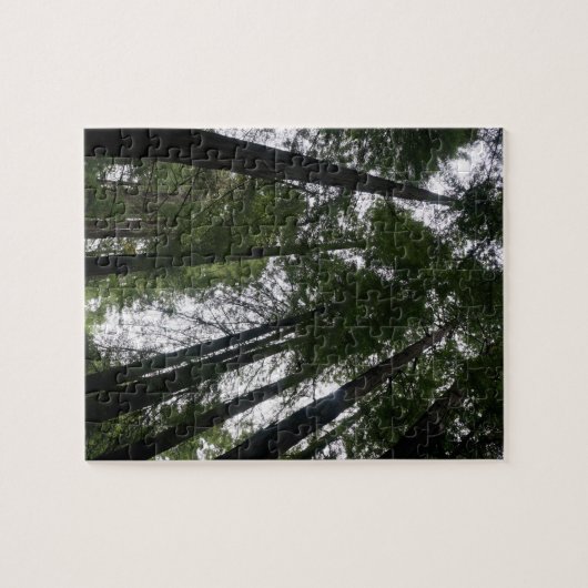 Redwood Trees #3 Jigzaag Puzzle Legpuzzel (Horizontaal)