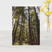 Redwood Trees - Carte de voeux vierge (Fleur jaune)