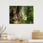 Redwood Trees Forest art prints Big Redwood (Keuken)