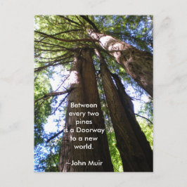 Redwood Trees Muir Quote Briefkaart