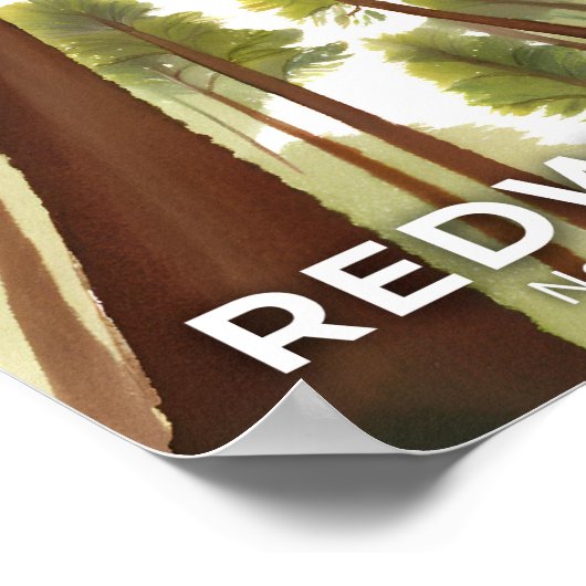 Redwood Trees | National Park Waterverf Reizen Poster (Hoek)