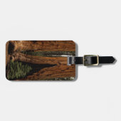 Redwood Trees, Sequoia National Park. Bagagelabel (Voorkant horizontaal)