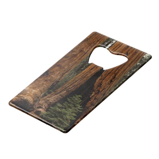 Redwood Trees, Sequoia National Park. Kredietkaart Flessenopener (Achterkant Gekanteld)