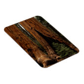 Redwood Trees, Sequoia National Park. Magneet (Rechterzijde)