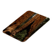 Redwood Trees, Sequoia National Park. Magneet (Linkerzijde)