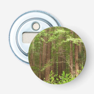 Redwood Treins bij Muir Bossen National Monument Button Flesopener