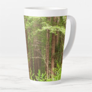 Redwood Treins bij Muir Bossen National Monument Latte Mok