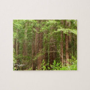 Redwood Treins bij Muir Bossen National Monument Legpuzzel