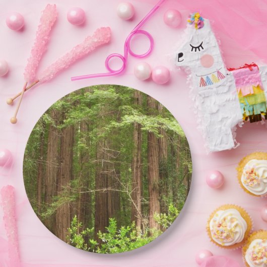 Redwood Treins bij Muir Bossen National Monument Papieren Bordje (Feest)