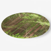 Redwood Treins bij Muir Bossen National Monument Papieren Bordje (Gekanteld)