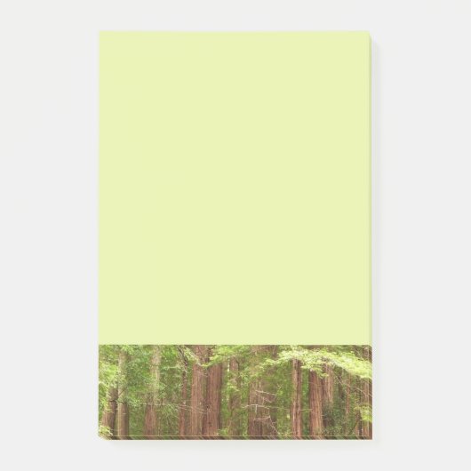 Redwood Treins bij Muir Bossen National Monument Post-it® Notes (Voorkant)