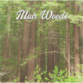 Redwood Treins bij Muir Bossen National Monument Sticker (Voorkant)