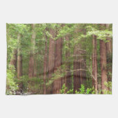 Redwood Treins bij Muir Bossen National Monument Theedoek (Horizontaal)