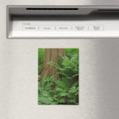 Redwood & varens magneet (Insitu (Vaatwasser))