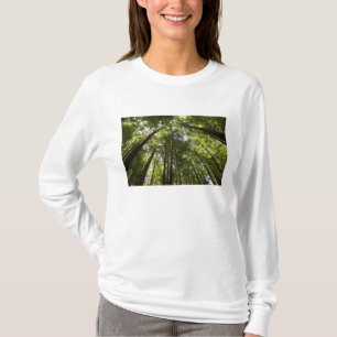 Redwoodbos, Rotorua, Nieuw-Zeeland 2 T-shirt