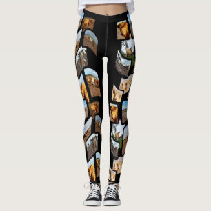 Ree- en witte hooglandersmontage, leggings